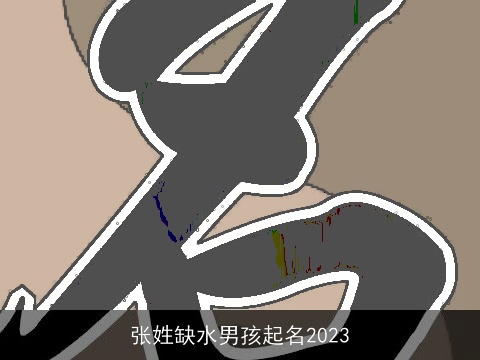 张姓缺水男孩起名2023