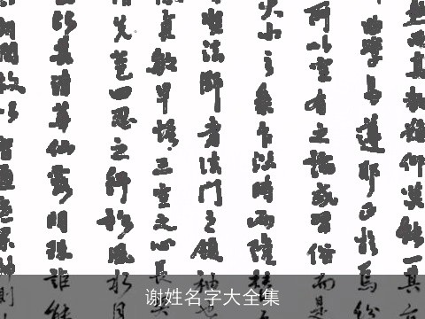 谢姓名字大全集