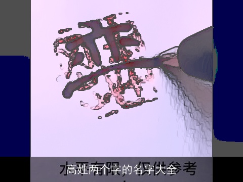 高姓两个字的名字大全