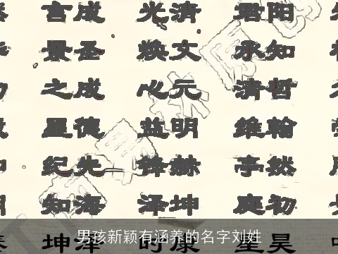 男孩新颖有涵养的名字刘姓