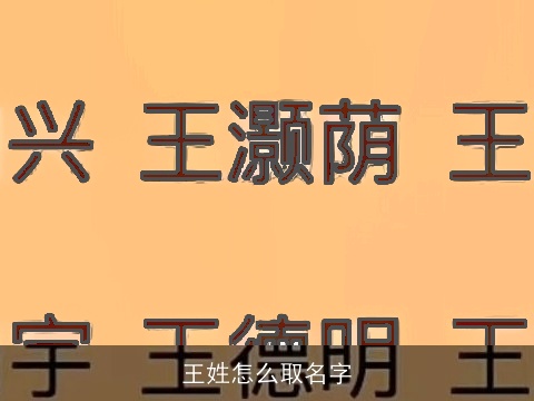 王姓怎么取名字