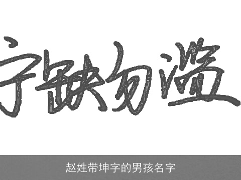 赵姓带坤字的男孩名字