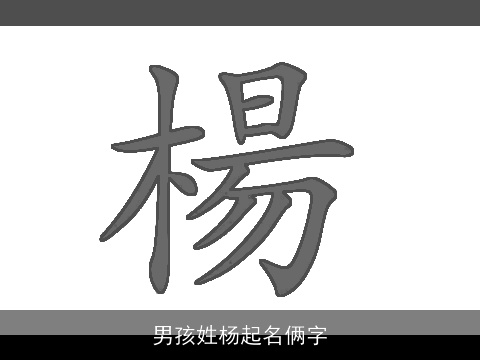 男孩姓杨起名俩字