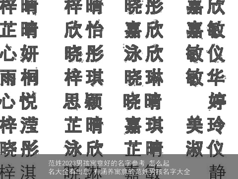 范姓2023男孩寓意好的名字参考 怎么起名大全有出息 有涵养寓意的范姓男孩名字大全