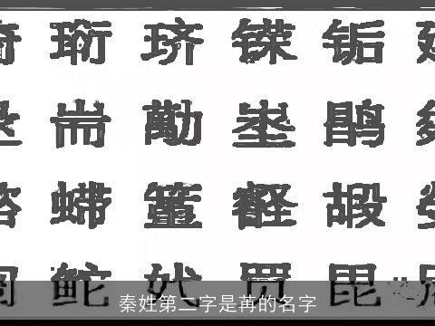 秦姓第二字是苒的名字