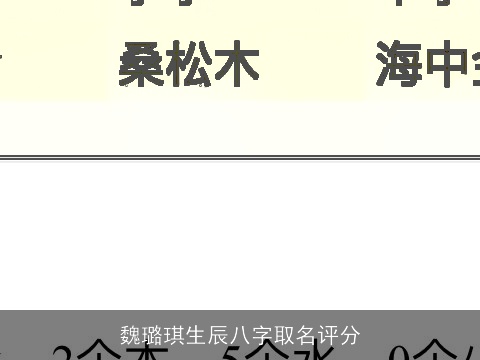 魏璐琪生辰八字取名评分