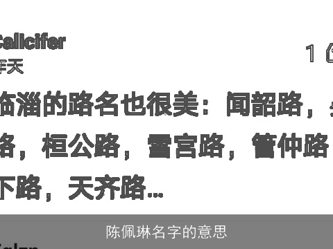 陈佩琳名字的意思