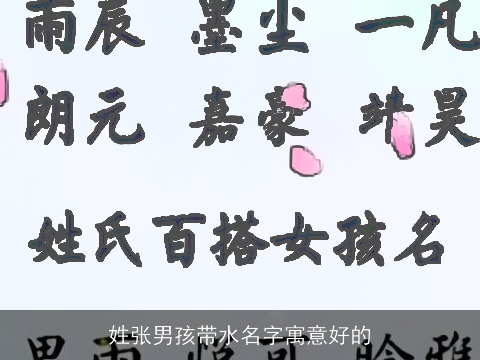 姓张男孩带水名字寓意好的