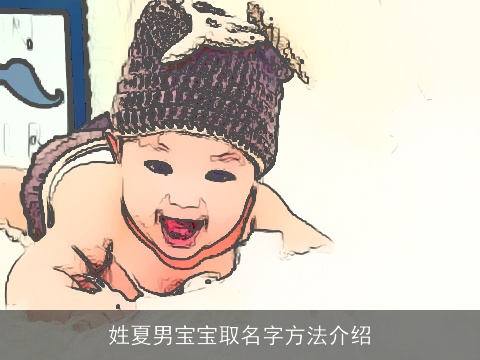 姓夏男宝宝取名字方法介绍