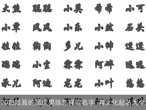 2023姓聂的属虎男孩怎样取名字 有文化起名大全