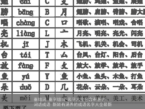塞组词 塞字组词 名字大全包含有塞的词语成语 新颖有涵养的成语名字大全最新