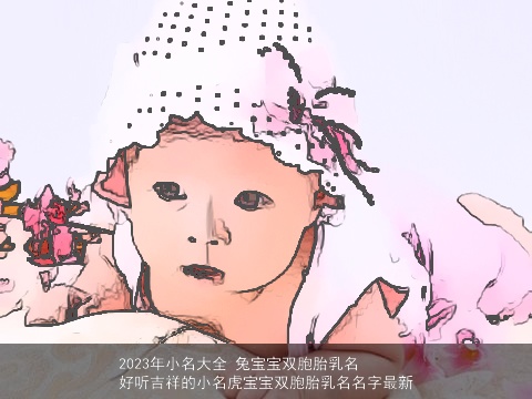 2023年小名大全 兔宝宝双胞胎乳名 好听吉祥的小名虎宝宝双胞胎乳名名字最新