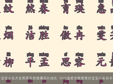宝宝小名大全寓意平安健康茁壮成长 2023温柔文静寓意的宝宝小名名字
