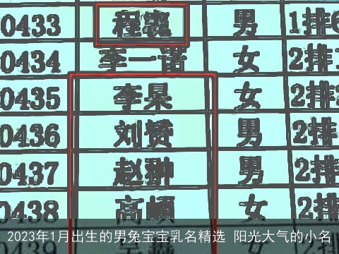 2023年1月出生的男龙宝宝乳名精选 阳光大气的小名