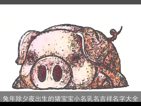兔年除夕夜出生的猪宝宝小名乳名吉祥名字大全