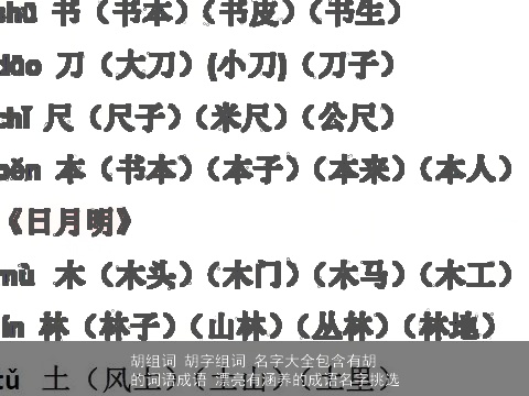 胡组词 胡字组词 名字大全包含有胡的词语成语 漂亮有涵养的成语名字挑选