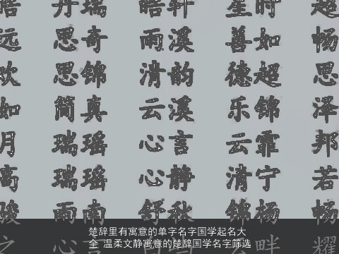 楚辞里有寓意的单字名字国学起名大全 温柔文静寓意的楚辞国学名字筛选