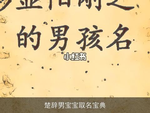 楚辞男宝宝取名宝典