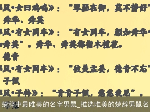 楚辞中最唯美的名字男鼠_推选唯美的楚辞男鼠名