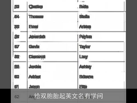 给双胞胎起英文名有学问