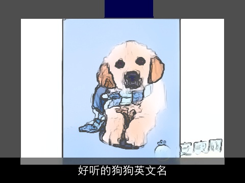 好听的狗狗英文名