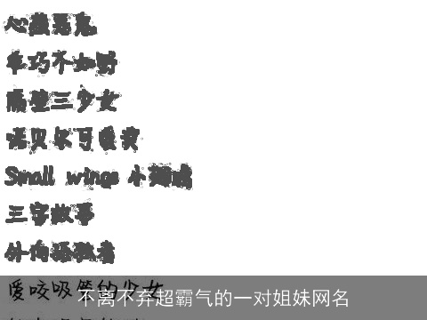 不离不弃超霸气的一对姐妹网名