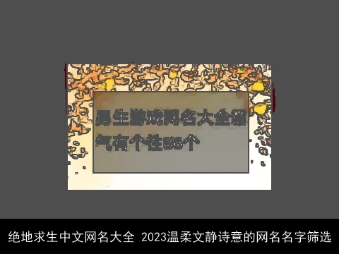 绝地求生中文网名大全 2023温柔文静诗意的网名名字筛选