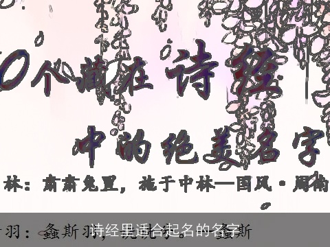 诗经里适合起名的名字