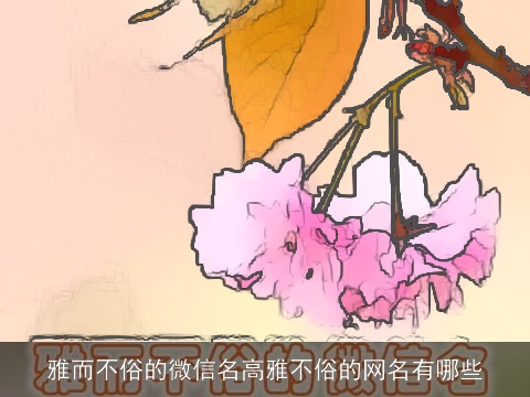 雅而不俗的微信名高雅不俗的网名有哪些