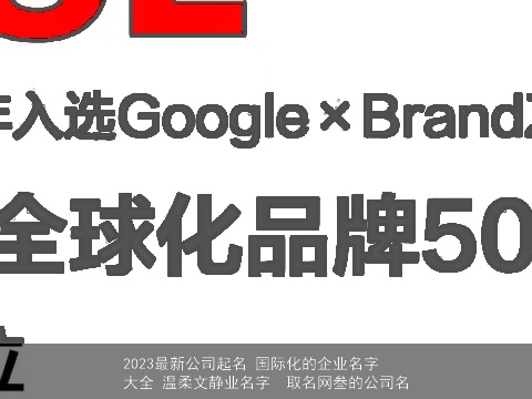 2023最新公司起名 国际化的企业名字大全 温柔文静业名字  取名网叁的公司名
