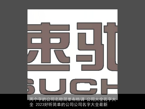 两个字的公司名称简单有格调 公司大全名字大全 2023好听简单的公司公司名字大全最新