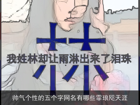 帅气个性的五个字网名有哪些霏琅咫天涯