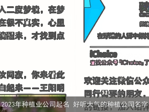 2023年种植业公司起名 好听大气的种植公司名字