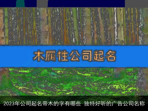 2023年公司起名带木的字有哪些 独特好听的广告公司名称