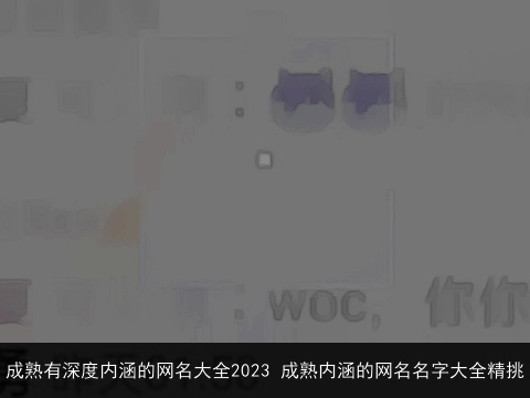 成熟有深度内涵的网名大全2023 成熟内涵的网名名字大全精挑