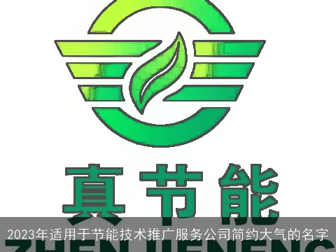 2023年适用于节能技术推广服务公司简约大气的名字