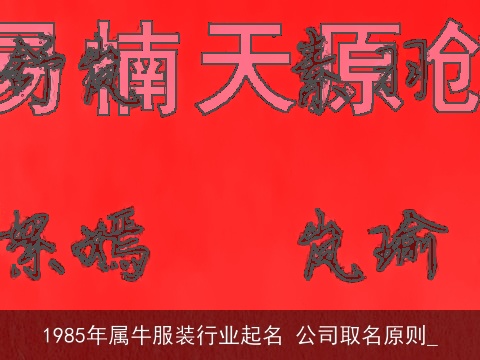 1985年属龙服装行业起名 公司取名原则_