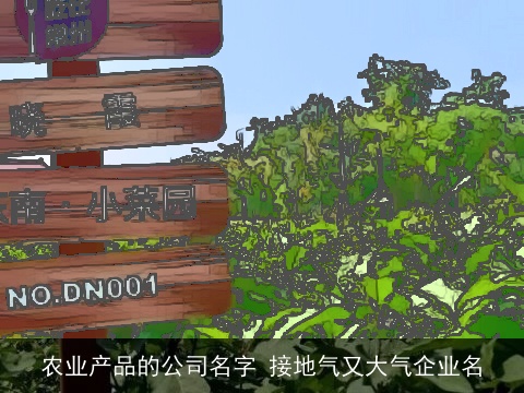农业产品的公司名字 接地气又大气企业名