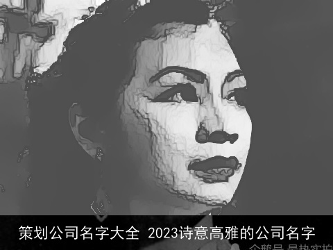 策划公司名字大全 2023诗意高雅的公司名字