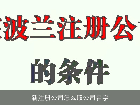 新注册公司怎么取公司名字