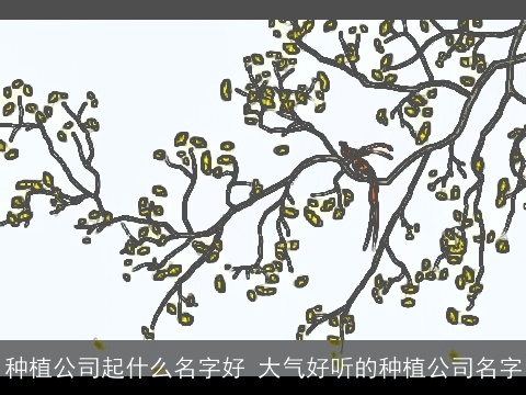 种植公司起什么名字好 大气好听的种植公司名字
