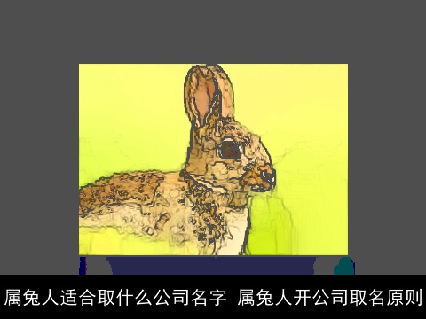 属兔人适合取什么公司名字 属兔人开公司取名原则