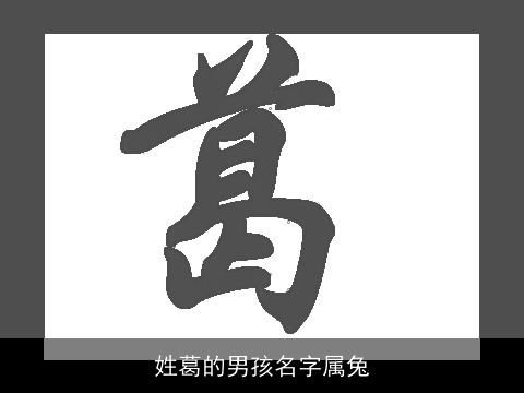 姓葛的男孩名字属兔