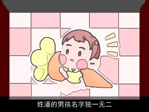 姓潘的男孩名字独一无二