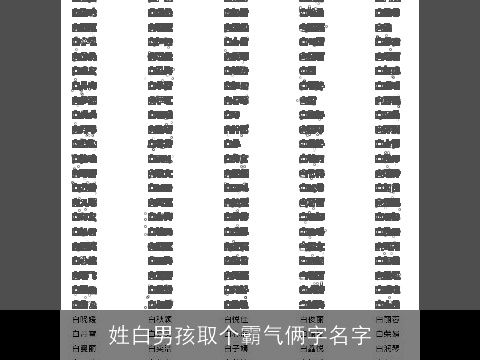 姓白男孩取个霸气俩字名字