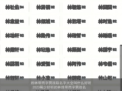姓林带雨字男孩取名字大全叫什么好听 2023稀少好听的林姓带雨字男孩名