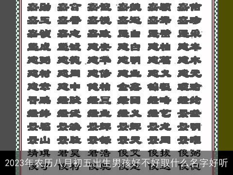 2023年农历八月初五出生男孩好不好取什么名字好听
