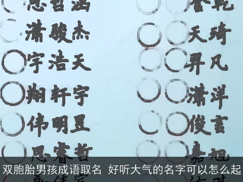 双胞胎男孩成语取名 好听大气的名字可以怎么起