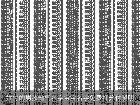姓付的男孩霸气名字宝宝名字免费打分付晓明