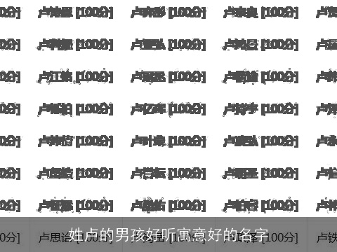 姓卢的男孩好听寓意好的名字